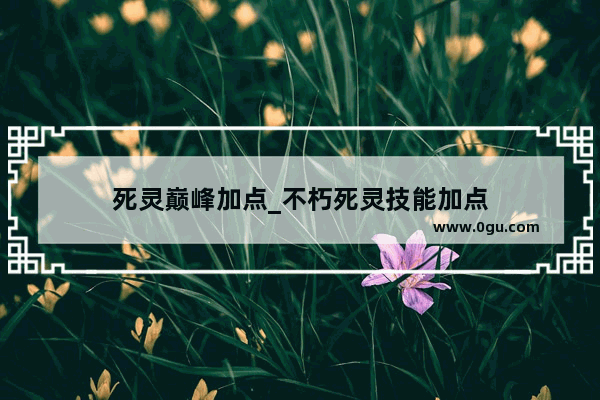 死灵巅峰加点_不朽死灵技能加点