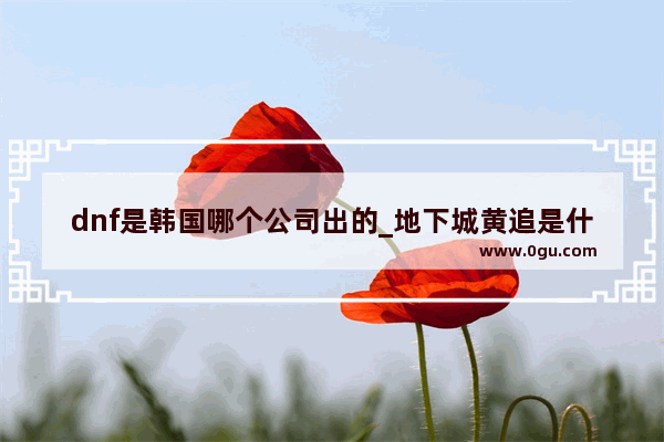 dnf是韩国哪个公司出的_地下城黄追是什么意思