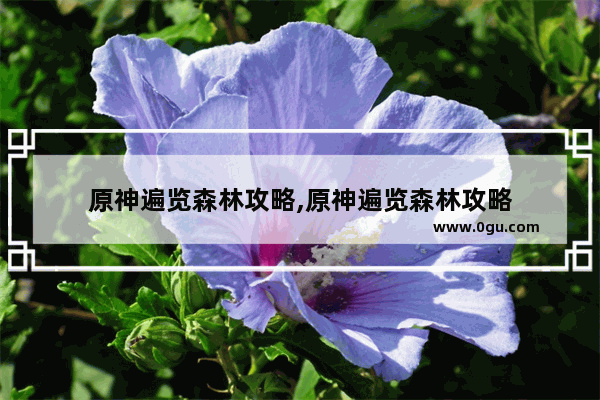 原神遍览森林攻略,原神遍览森林攻略