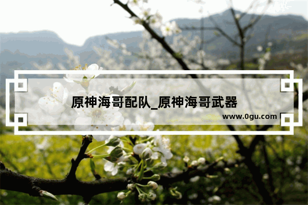 原神海哥配队_原神海哥武器