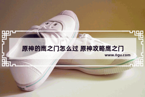 原神的鹰之门怎么过 原神攻略鹰之门