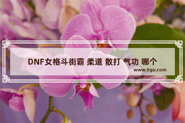 DNF女格斗街霸 柔道 散打 气功 哪个更适合,地下城与勇士气功和武神