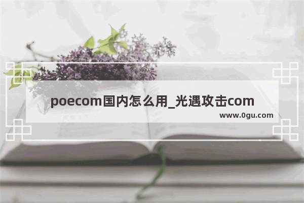 poecom国内怎么用_光遇攻击com