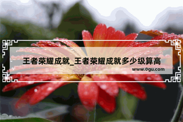 王者荣耀成就_王者荣耀成就多少级算高