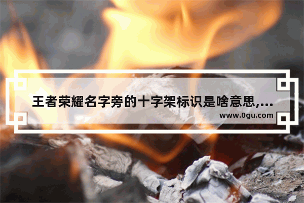 王者荣耀名字旁的十字架标识是啥意思,王者荣耀英雄等级标志