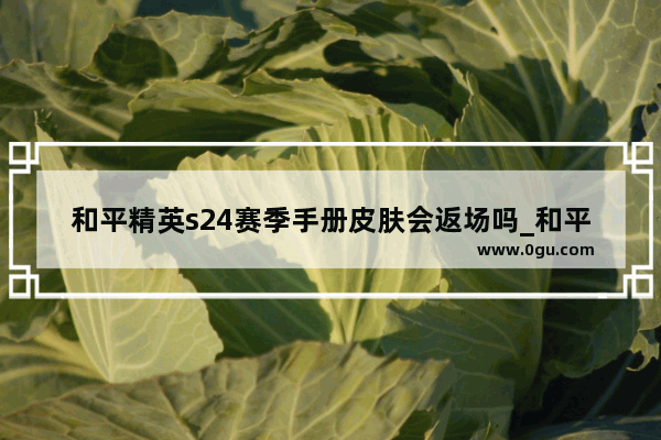 和平精英s24赛季手册皮肤会返场吗_和平精英groza赛季手册皮肤如何选择