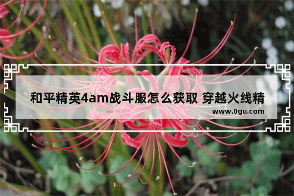 和平精英4am战斗服怎么获取 穿越火线精英服