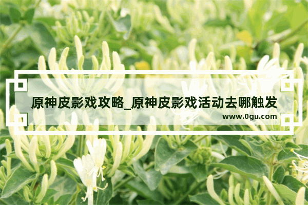 原神皮影戏攻略_原神皮影戏活动去哪触发