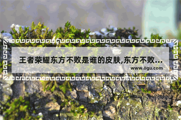 王者荣耀东方不败是谁的皮肤,东方不败王者荣耀