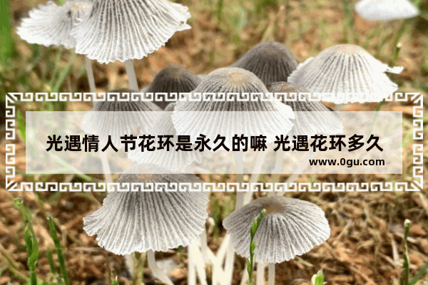 光遇情人节花环是永久的嘛 光遇花环多久