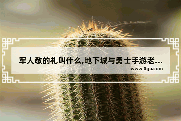 军人敬的礼叫什么,地下城与勇士手游老兵装备