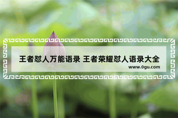王者怼人万能语录 王者荣耀怼人语录大全