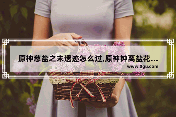原神慈盐之末遗迹怎么过,原神钟离盐花攻略