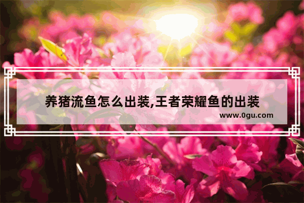 养猪流鱼怎么出装,王者荣耀鱼的出装