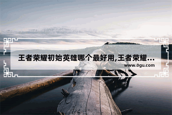 王者荣耀初始英雄哪个最好用,王者荣耀新手用什么英雄