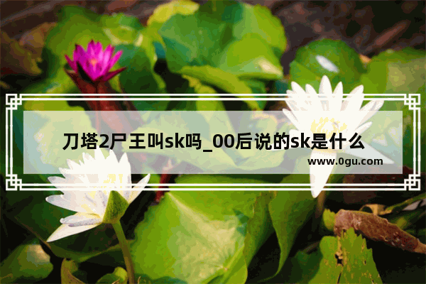 刀塔2尸王叫sk吗_00后说的sk是什么意思