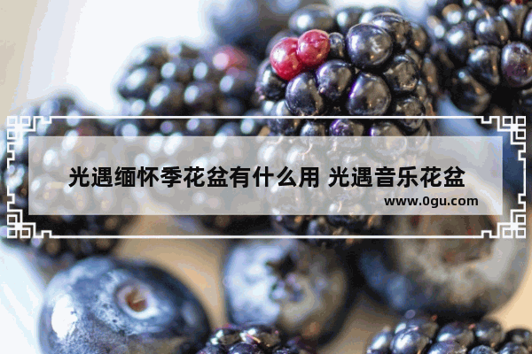光遇缅怀季花盆有什么用 光遇音乐花盆