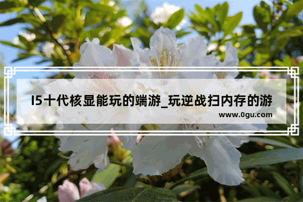 I5十代核显能玩的端游_玩逆战扫内存的游戏