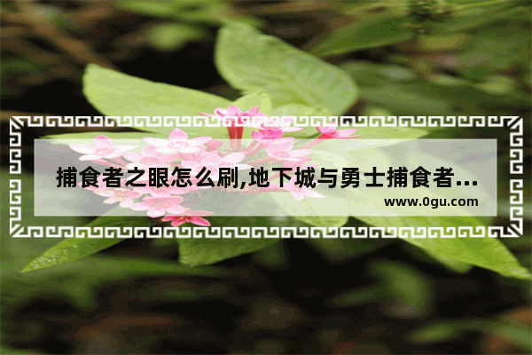 捕食者之眼怎么刷,地下城与勇士捕食者教程
