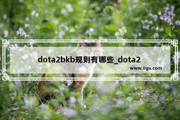 dota2bkb规则有哪些_dota2 gg战队 成员介绍