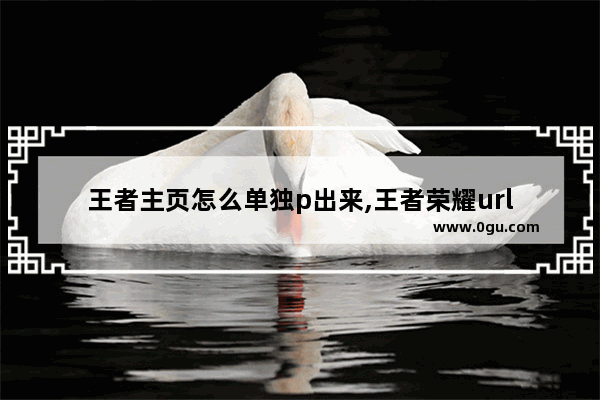 王者主页怎么单独p出来,王者荣耀url