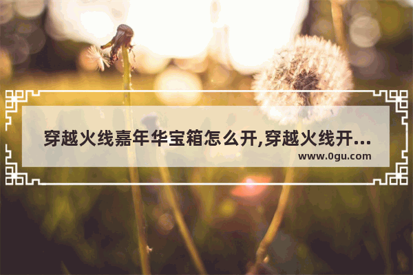 穿越火线嘉年华宝箱怎么开,穿越火线开宝箱