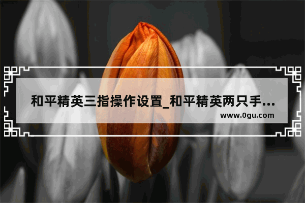 和平精英三指操作设置_和平精英两只手指怎么设置