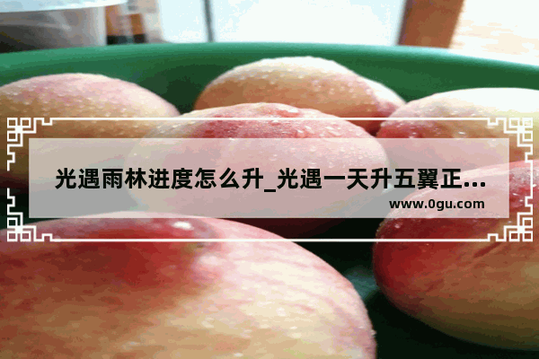 光遇雨林进度怎么升_光遇一天升五翼正常吗