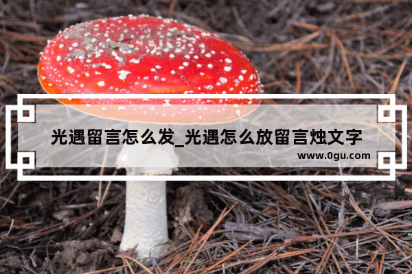 光遇留言怎么发_光遇怎么放留言烛文字