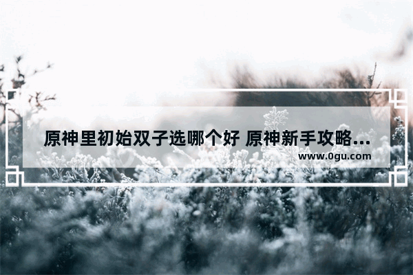 原神里初始双子选哪个好 原神新手攻略双子