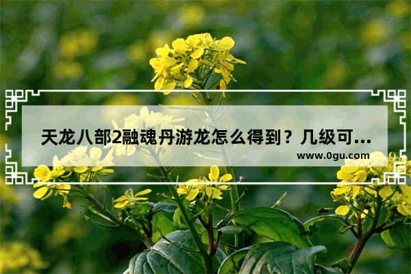 天龙八部2融魂丹游龙怎么得到？几级可带_天龙八部角色身上那条龙是怎么弄的