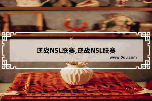逆战NSL联赛,逆战NSL联赛
