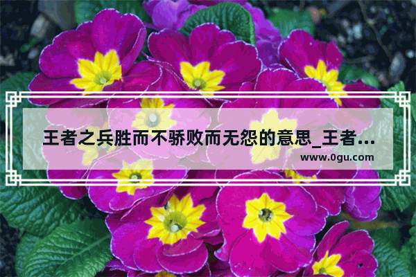 王者之兵胜而不骄败而无怨的意思_王者荣耀撩妹的名字