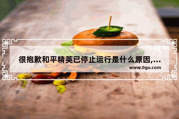 很抱歉和平精英已停止运行是什么原因,和平精英为什么进不去游戏