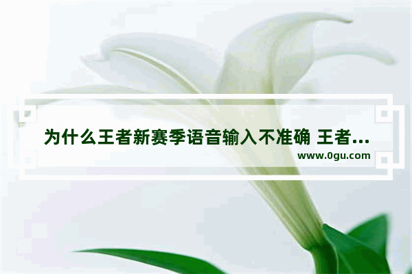 为什么王者新赛季语音输入不准确 王者荣耀语音输入