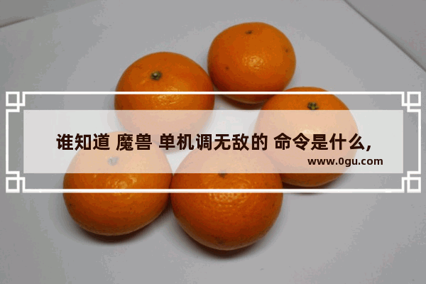 谁知道 魔兽 单机调无敌的 命令是什么,地下城与勇士gm工具秒怪
