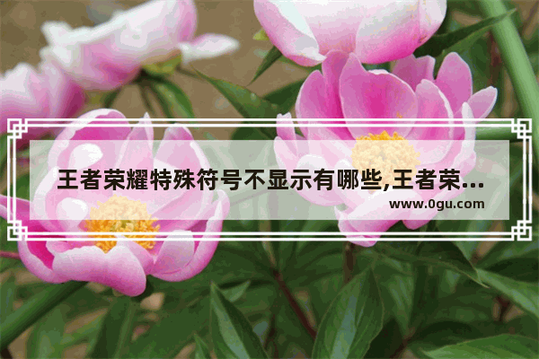 王者荣耀特殊符号不显示有哪些,王者荣耀符号问号