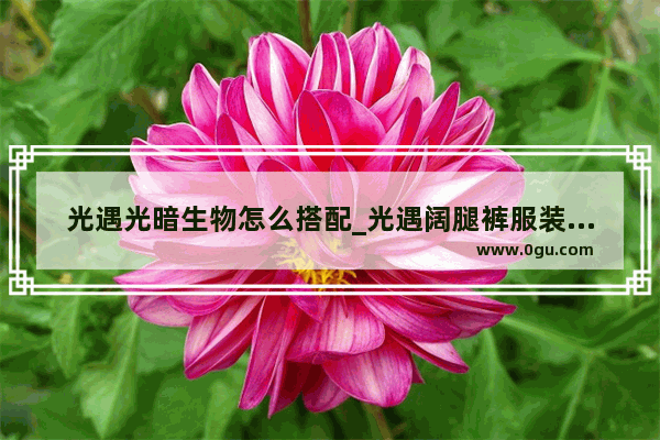 光遇光暗生物怎么搭配_光遇阔腿裤服装搭配