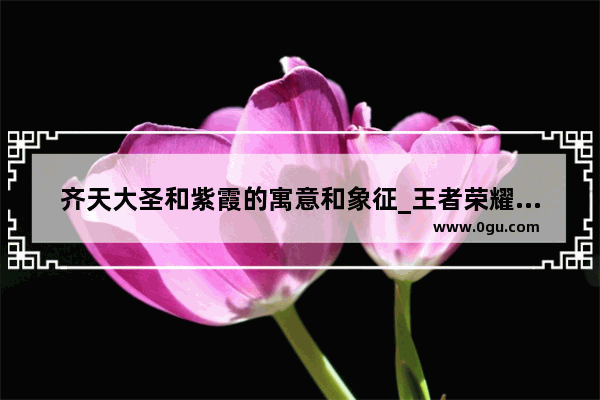 齐天大圣和紫霞的寓意和象征_王者荣耀紫霞喜欢至尊宝还是孙悟空