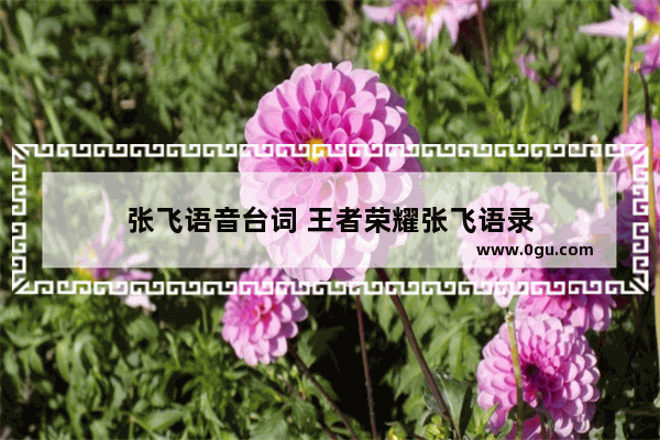 张飞语音台词 王者荣耀张飞语录