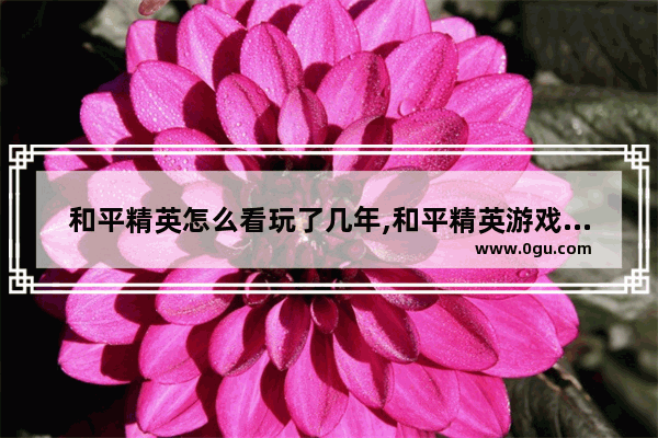 和平精英怎么看玩了几年,和平精英游戏多少年了