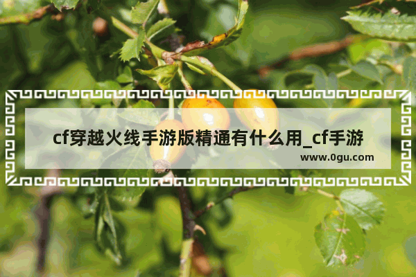 cf穿越火线手游版精通有什么用_cf手游精通点在什么地方