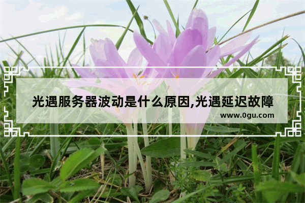 光遇服务器波动是什么原因,光遇延迟故障
