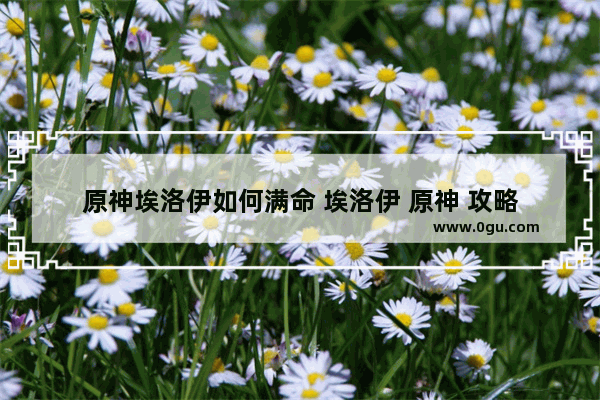 原神埃洛伊如何满命 埃洛伊 原神 攻略