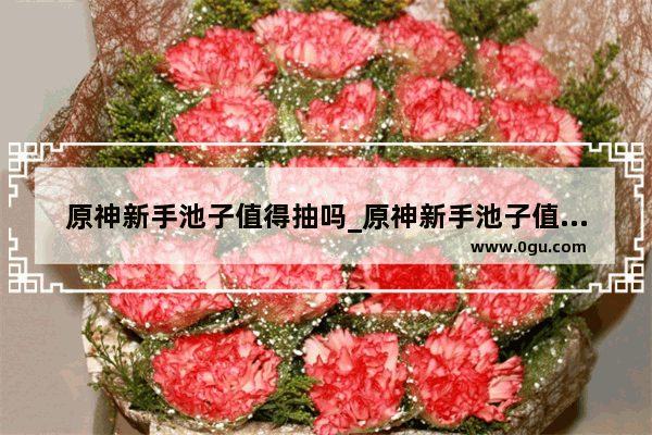 原神新手池子值得抽吗_原神新手池子值得抽吗