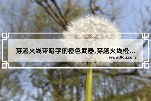 穿越火线带暗字的橙色武器,穿越火线橙色武器