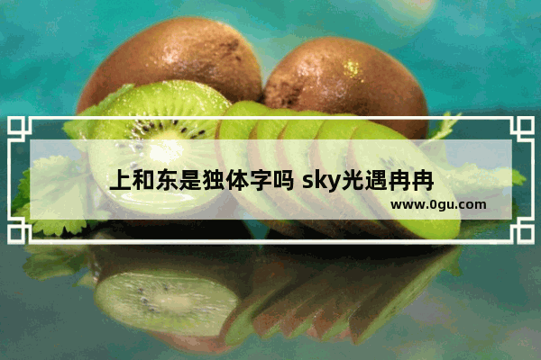 上和东是独体字吗 sky光遇冉冉