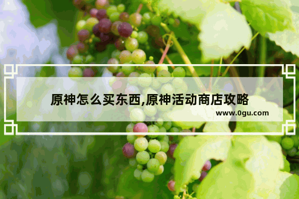 原神怎么买东西,原神活动商店攻略