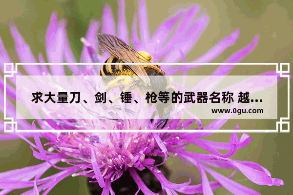 求大量刀、剑、锤、枪等的武器名称 越多越好_游戏中的装备有哪些好听的名字 衣服、武器 头盔都行