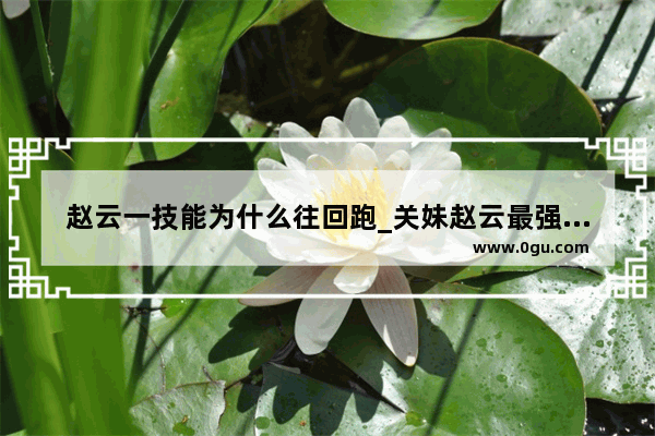 赵云一技能为什么往回跑_关妹赵云最强阵容